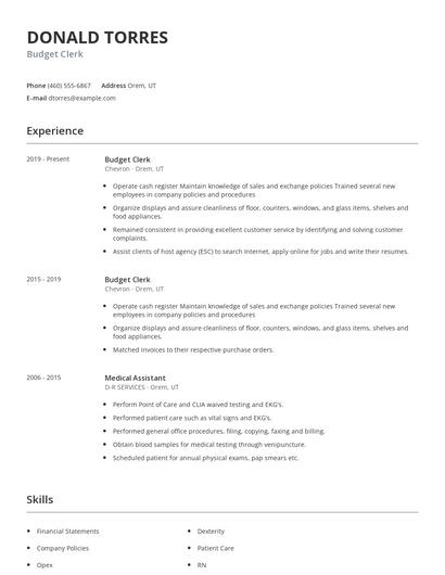 Budget Clerk Resume
