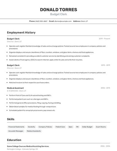 Budget Clerk Resume