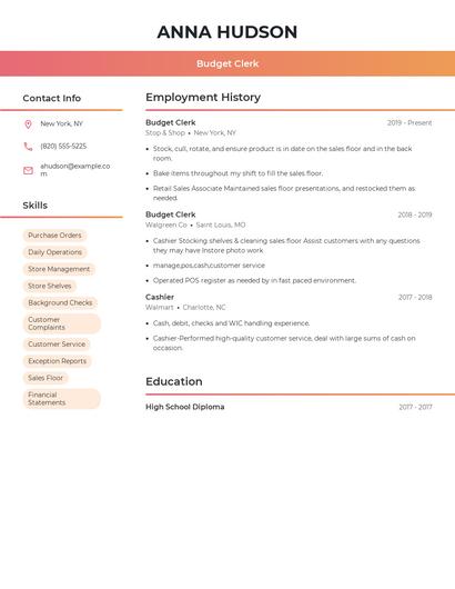Budget Clerk Resume