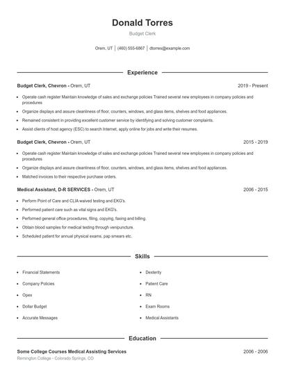 Budget Clerk Resume