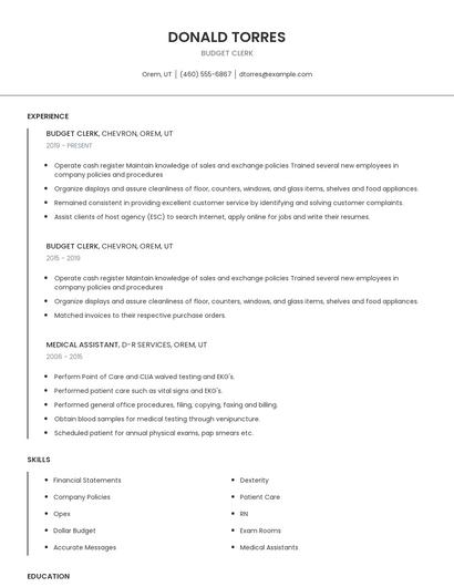 Budget Clerk Resume