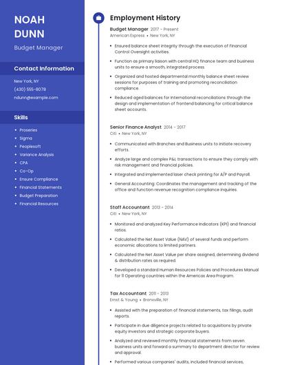 Budget Manager Resume
