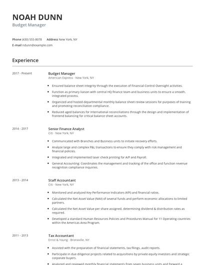 Budget Manager Resume
