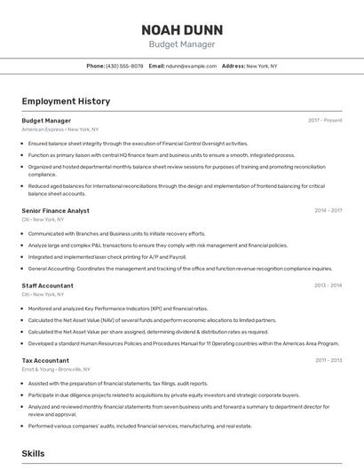Budget Manager Resume