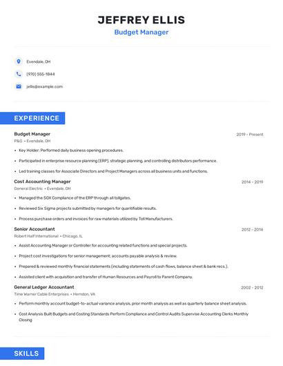 Budget Manager Resume