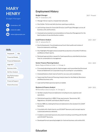 Budget Manager Resume