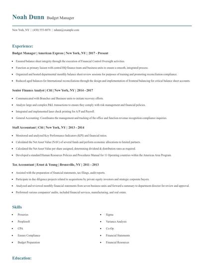 Budget Manager Resume