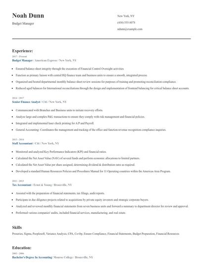 Budget Manager Resume