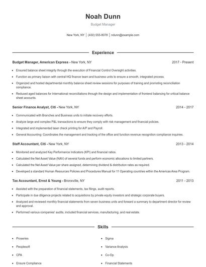 Budget Manager Resume