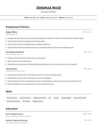 Budget Officer Resume