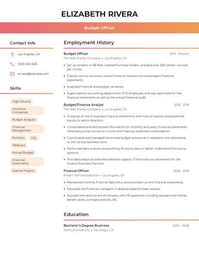 Budget Officer Resume