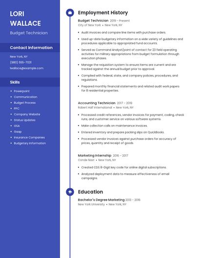 Budget Technician Resume
