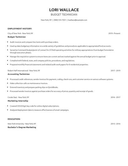 Budget Technician Resume