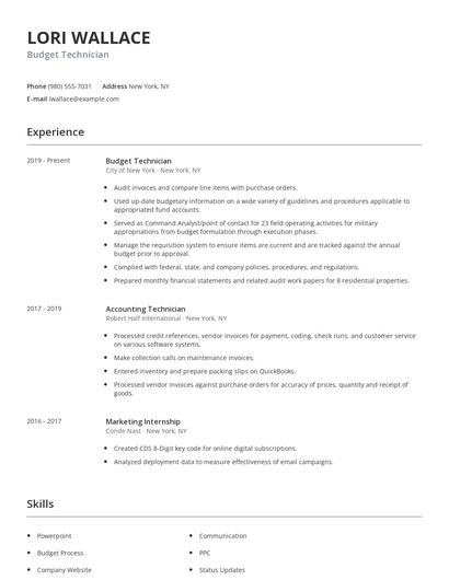Budget Technician Resume