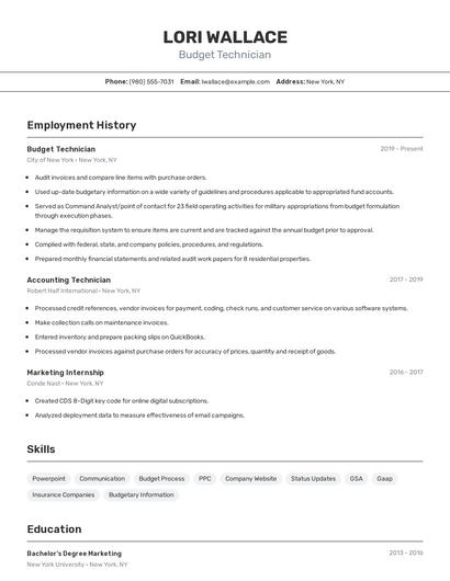 Budget Technician Resume