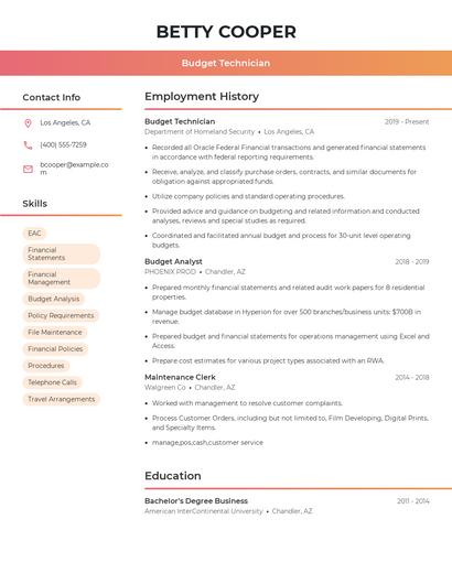 Budget Technician Resume
