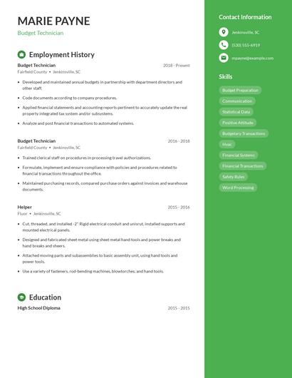 Budget Technician Resume