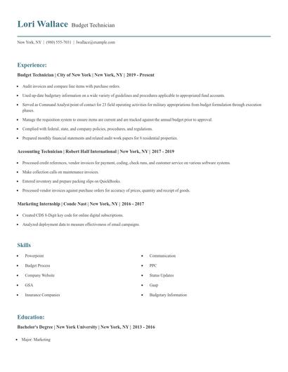 Budget Technician Resume