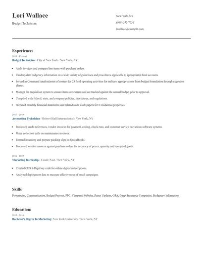Budget Technician Resume
