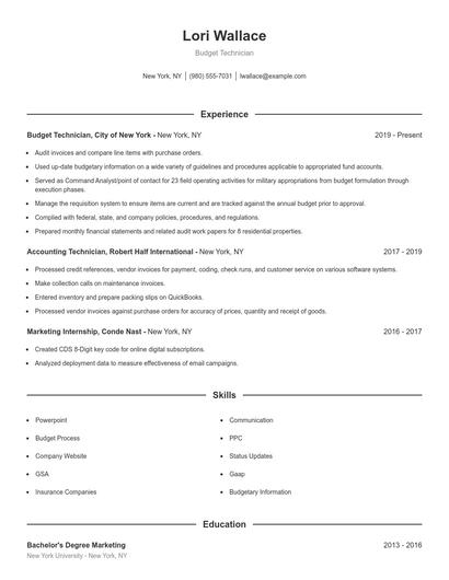 Budget Technician Resume