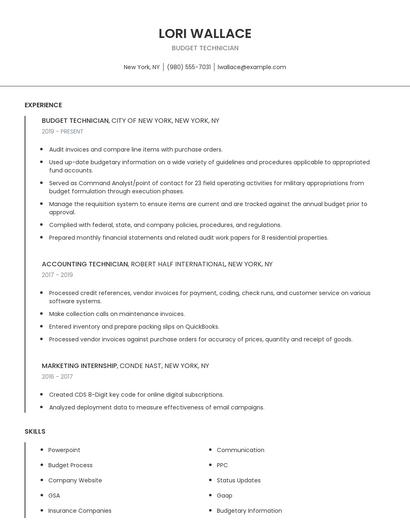 Budget Technician Resume