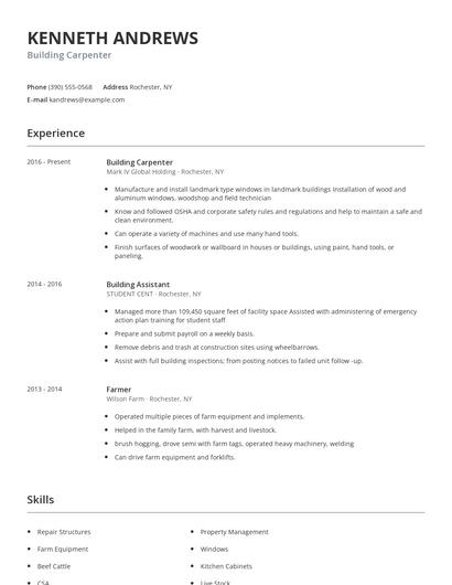 Building Carpenter Resume