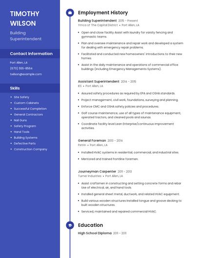 Resume example 5