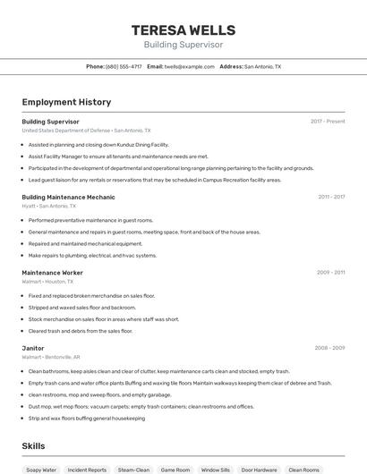Resume example 2