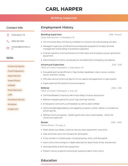 Resume example 3