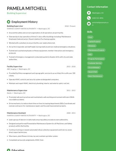 Resume example 5