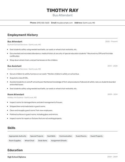 Resume example 2