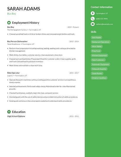 Resume example 4