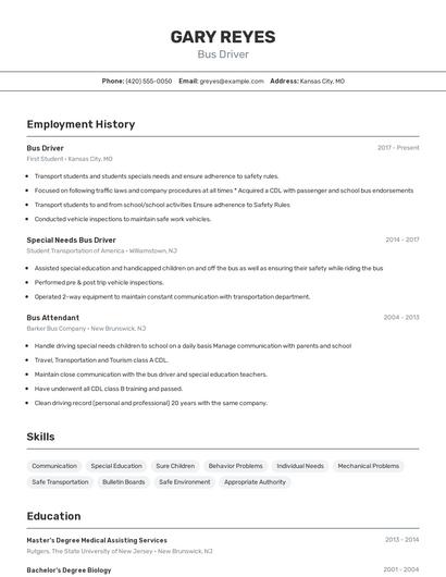Resume example 2
