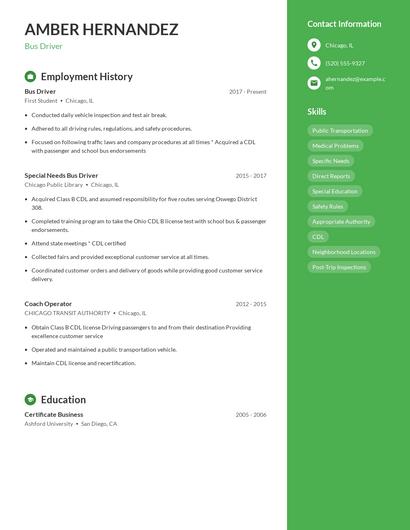 Resume example 4