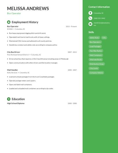 Resume example 5