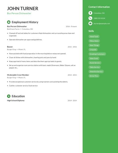 Bus Person Dishwasher Resume