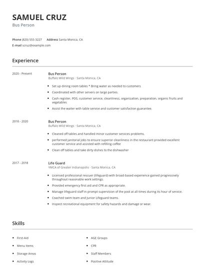 Bus Person Resume