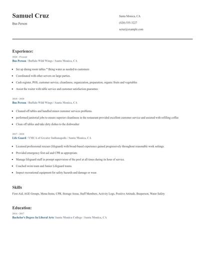Bus Person Resume