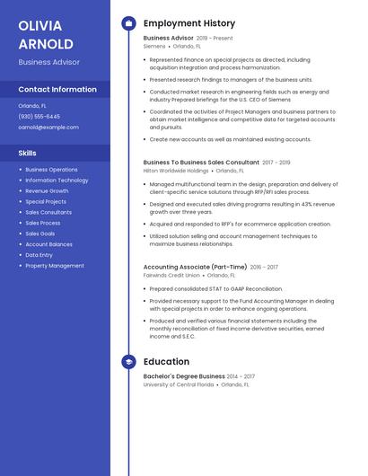 Business Advisor Resume