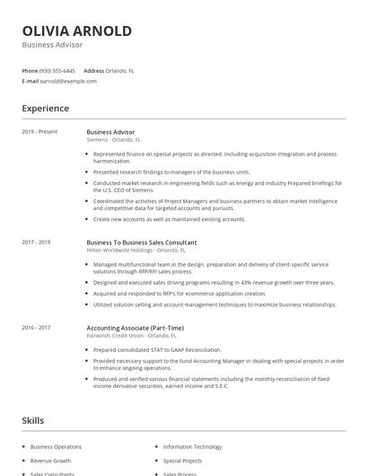 Business Advisor Resume