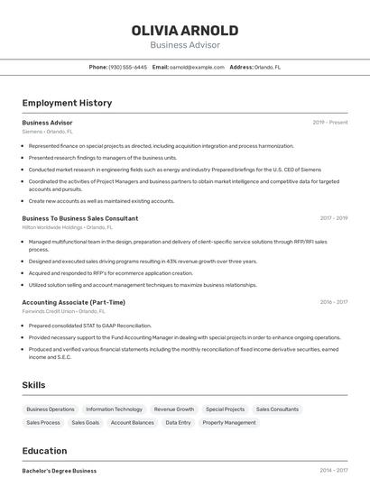Business Advisor Resume