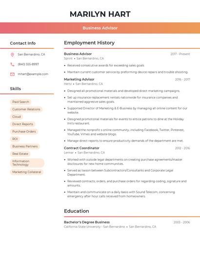 Business Advisor Resume