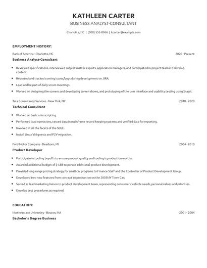 Business Analyst-Consultant Resume