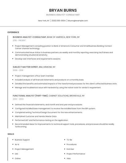 Business Analyst-Consultant Resume
