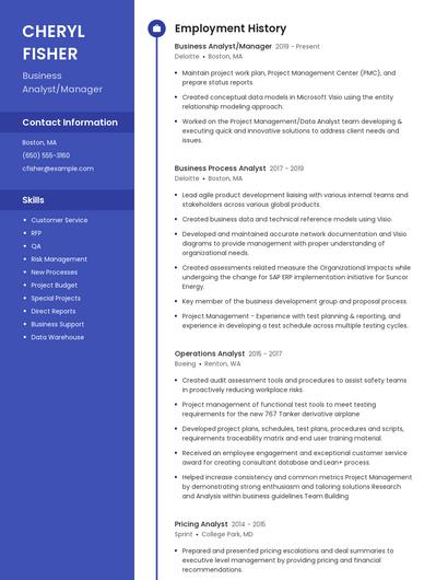 Business Analyst/Manager Resume