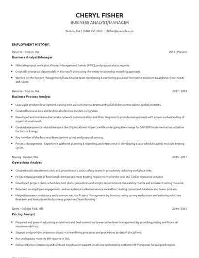 Business Analyst/Manager Resume