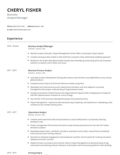 Business Analyst/Manager Resume