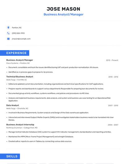 Business Analyst/Manager Resume