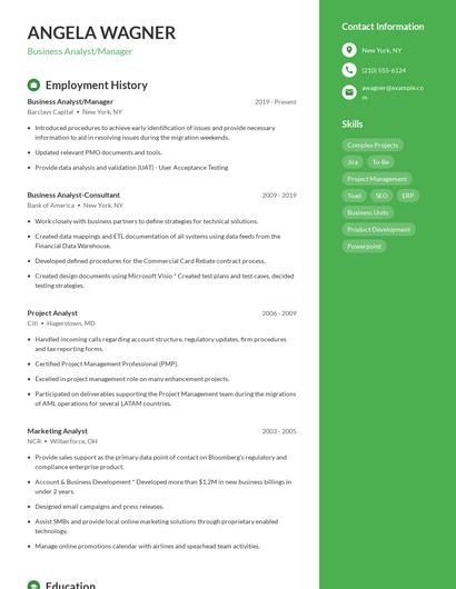 Business Analyst/Manager Resume