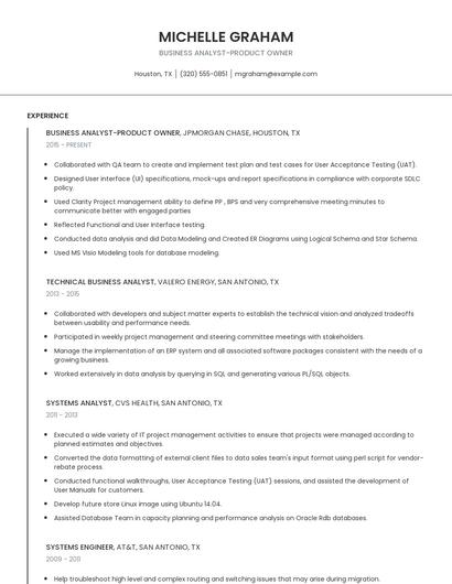 Business Analyst-Product Owner Resume
